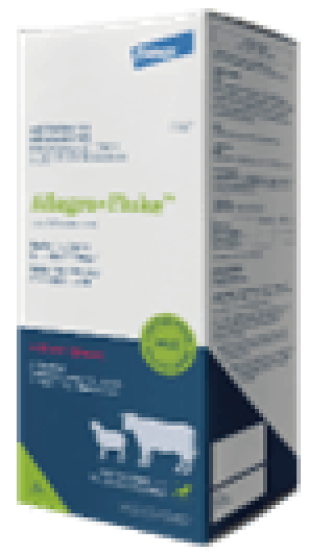 Allegro plus Fluke